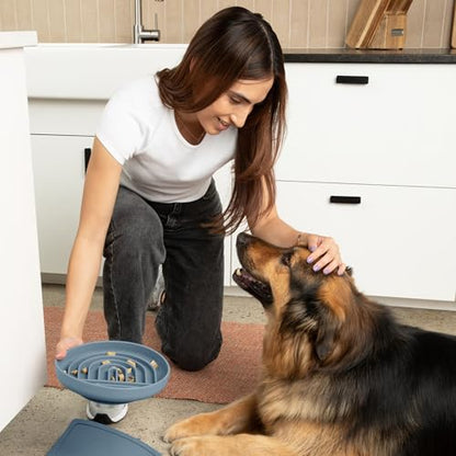 Should We Go? Slow Feeder for Dogs & Puppies, The Slowdown Bowl Silicone Slow Eating, Modern Lick Mat Design, Reduces Gulping, Fits 2.5 Cups, 9.5” Across x 1.5” Tall, Mealtime Challenge, Large-Ocean - color: Ocean - Rainbow Design, size: Large (9.5” Acros