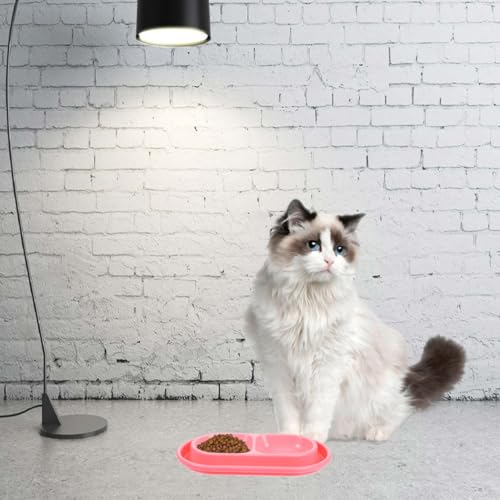 Alasum Raised Cat Bowls, Double Cat Food and Water Bowls with Non-Slip Mat, Elevated Pet Dishes for Indoor Pets, Spill-Proof Design, Easy to Clean - color: Pink