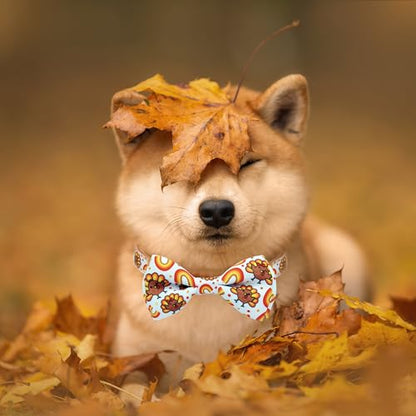 Thanksgiving Dog Collar with Bow Tie,Turkey and Rainbow Pattern Holiday Pet Collar Set for Small Medium Large Dogs, Adjustable Festive Fall Puppies - color: Thanksgiving Turkey, size: Medium-(12.5-20") Neck * 3/4" Wide