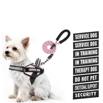 Service Dog Vest Harness and Leash Set, Animire in Training Dog Harness with 10 Dog Patches, Reflective Dog Leash with Soft Padded Handle for Small, Medium, Large, and Extra-Large Dogs - color: Pink, size: XXS