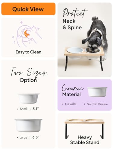 Elevated Dog Bowls, Raised Dog Bowl Stand with Two 6.5 inch Ceramic Bowl, Non-Slip Puppy Food and Water Bowls, Dogs Feeder for Small and Medium Breed, White - color: White, size: 6.5inch