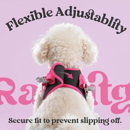 rabbitgoo Dog Harness Small Sized and Leash Set, Step-in Breathable Pet Harness, Soft Walking Reflective Puppy Vest for Small Dogs, Black & Rose Red, S - color: Black & Rose Red, size: S (Chest: 15.1 - 16.5")