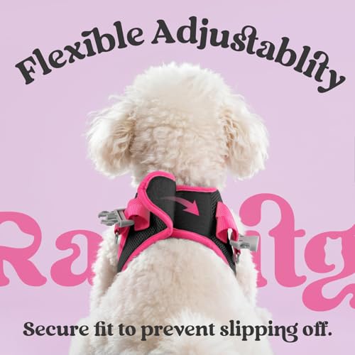 rabbitgoo Dog Harness Small Sized and Leash Set, Step-in Breathable Pet Harness, Soft Walking Reflective Puppy Vest for Small Dogs, Black & Rose Red, XXS - color: Black & Rose Red, size: XXS (Chest: 12.4 - 14.2")