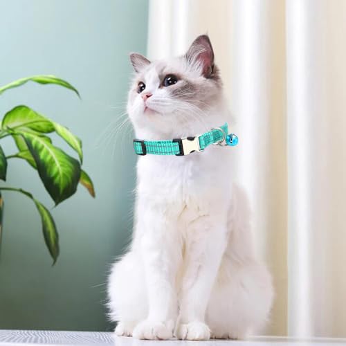 Teal Cat Collar with Bell, Reflective Nylon X-Small Puppy Collars Soft Adjustable Buckle for XXS XSmall Small Puppy Female Tiny Pets Dogs Boy Girl Kitten Yorkie Chihuahua XS - color: Teal