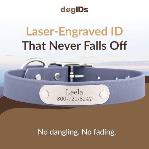 dogIDs Personalized Dog Collar – Custom Waterproof Soft-Grip Biothane with Laser-Engraved Nameplate, Durable & Odor-Resistant, USA Made | Grey, 1 in x 16 in (Fits Necks Size 14-18 in) - color: Grey, size: 1 in x 16 in (Fits Necks Size 14-18 in)