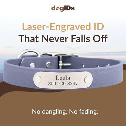 dogIDs Personalized Dog Collar – Custom Waterproof Soft-Grip Biothane with Laser-Engraved Nameplate, Durable & Odor-Resistant, USA Made | Grey, 1 in x 16 in (Fits Necks Size 14-18 in) - color: Grey, size: 1 in x 16 in (Fits Necks Size 14-18 in)