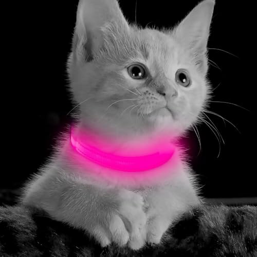 BSEEN Light Up Dog Collar - Reflective LED Dog Collar Rechargeable Glowing Pet Collar for Puppies & Cats, Safety Dog Lights for Night Walking (Pink) - color: Pink