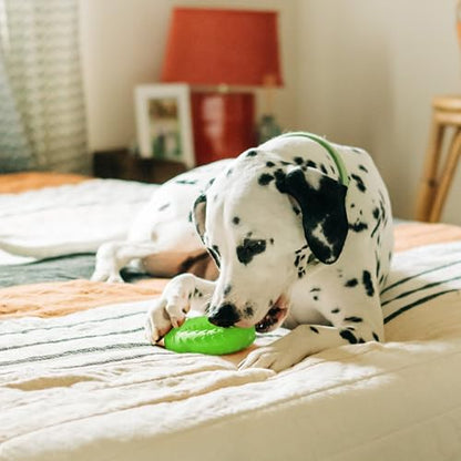 Playology Dog Toys | Dual Layer Ring Durable Dog Toy for Tough Chewers | Sweet Potato Scented Jumbo Chew Toy for Large Dogs - size: Jumbo, style: Sweet Potato