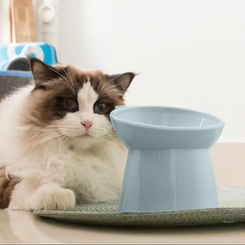 Tilted Raised Posture for Cat Food Bowl Neck for Protection Anti Vomiting 45 Degree Elevated Slanted Stand Bowls for Cat Tilted Bowl Diameter Approx.13.7cm/5.39in (Baby Blue)