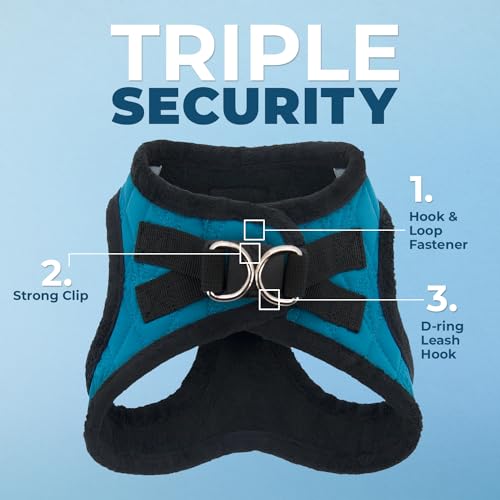 Best Pet Supplies Voyager Step-in Plush Dog Harness - Soft, Step in Vest Harness and Reflective Dog 5 ft Leash Combo with Neoprene Handle for Small and Medium Dogs, Turquoise Plush, M - color: Harness Leash Set (Turquoise Plush), size: M (Chest: 16 - 18")
