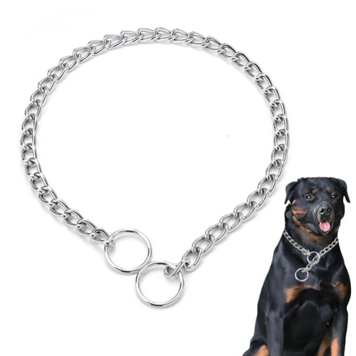 Silver Dog Chain Collars,Heavy Training Metal Dog Collars, Adjustable Necklace Martingale Collar for Dogs for XXS XS Small Medium Large Big XL Breed Dogs, Silver XXS - color: Silver, size: XXS(Neck Max 8inch)D1.6mm