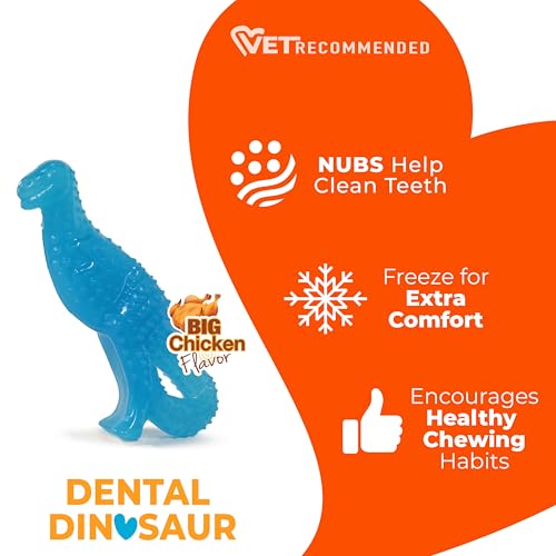 Nylabone Dental Dinosaur Puppy Power Chew Toy, Soothing Puppy Teething Bone, Enrichment Toy for Puppies, Chicken Flavor, Small Dogs - Up to 25 lbs., 1 Count - color: Dinosaur