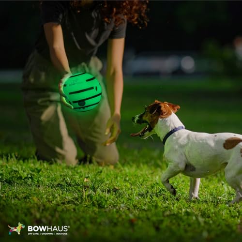 BOWHAUS Giggle Glow in The Dark Ball for Dogs, 5.5 Inch Interactive Dog Exercise Toys, Indestructible Fun Squeaky Chew Toy, Non-Toxic Durable PVC Chew Ball for Indoor Outdoor Play - style: Glowing Ball