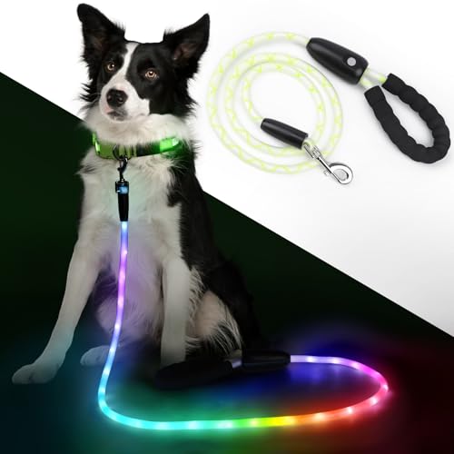 5FT Light up Dog Leash with 15 Flashing Modes - Super Bright LED Dog Leash for Small Medium Large Dogs - Type-c Rechargeable Dogs Leashes Light (Multi-Color, 5FT (150cm)) - size: 5FT (150cm)
