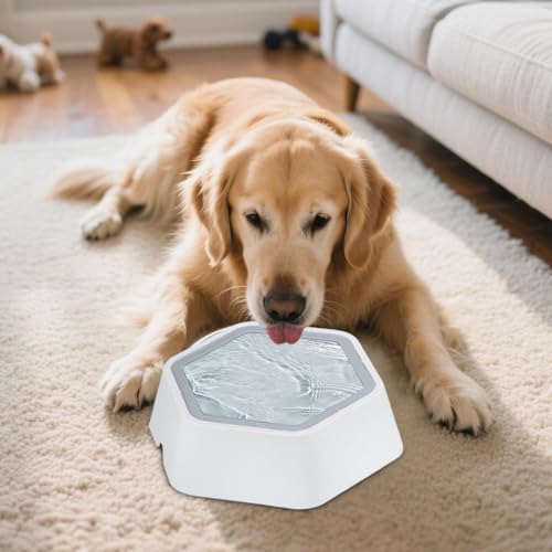 Splash Guard Water Bowl – Floating Disc Feeder, Stable Base Construction, Moisture Control | Cat Dog Hydration Accessory for Floors Furniture Protection - color: Gray