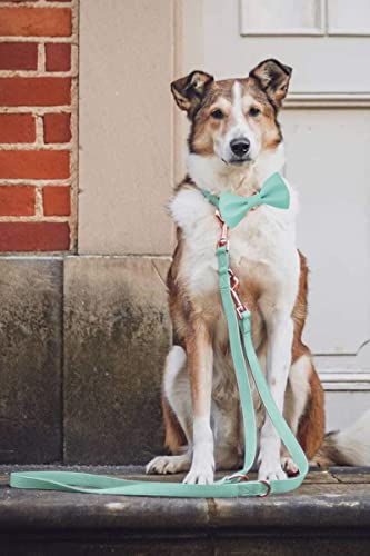 Soft Leather Bowtie Dog Collar - Adjustable Cute Bow Tie Collar [Easy to Clean] with Stylish Rose Gold Heavy Duty Metal Buckle for Small Medium Large Dogs Mint Green S - color: Mint Green, size: S(12.2"-16.9")