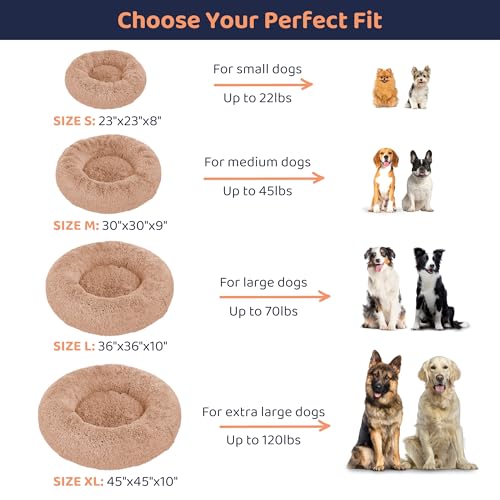 Donut Dog Bed - Premium Comfort for Anxiety Relief - Fluffy & Calming Design with Ultra-Plush Support | Cozy Round Dog Bed with Super Soft Circle Style (Camel, X-Large)