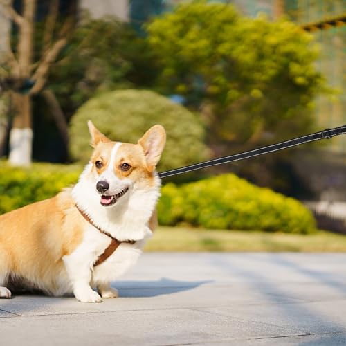 Balacoo Adjustable Double Handle Dog Leash, Traffic Control Pet Lead Rope with Comfortable Non-Chafing Soft Grip, Sturdy Grey and Blue Walking Leash for Puppy Training and Dog Walking