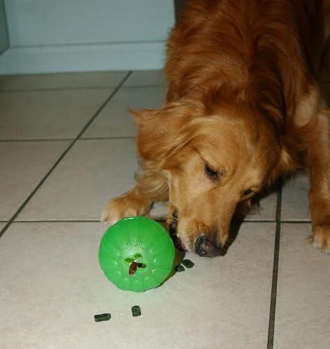 Treat Dispensing Chew Ball, Medium - size: Medium