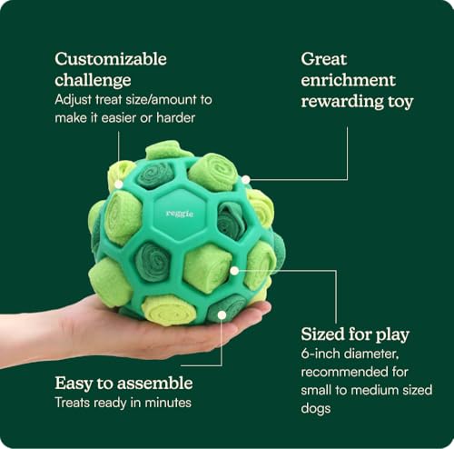 Reggie Forager Ball for Dogs | Interactive Treat Dispensing Dog Enrichment Toys | Reduces Boredom, Stress & Hyperactivity | Snuffle Toys for Dogs | Durable & Washable Dog Puzzle Toy - size: Forager Ball Green