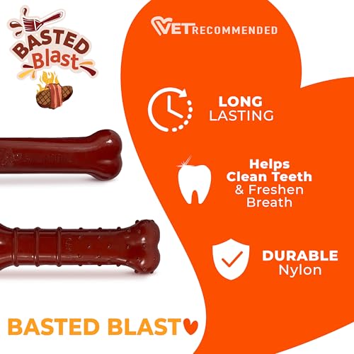 Nylabone Original & Textured Bone Power Chew Toy for Dogs, Durable & Tough Dog Toys for Aggressive Chewers, Basted Blast Bacon and Steak Flavor, X-Small Dogs - Up to 15 lbs, 2 Pack - size: X-Small