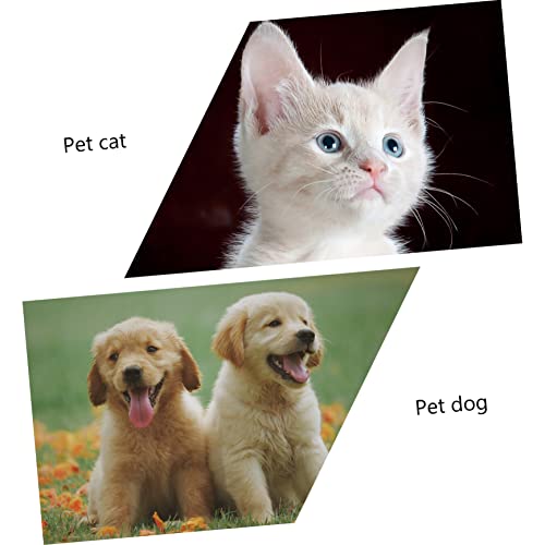 Mikikit 1set Detachable Cat Scratching Board and Cozy Sleeping Nest for Indoor Cats Kraft Material Secure Hidden Space for Kittens and Puppies Washable Pet Resting Place