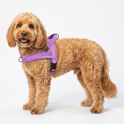 Didog Soft Flannel Padded Dog Vest Harness, No Pull/Quick Fit Reflective Dog Strap Harness, Easy for Training Walking (S:Chest 18-22", Purple) - color: Purple, size: S:chest 18-22"