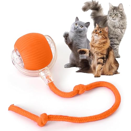 Rocfish Interactive Cat Toy for Indoor Cat, Smart Automatic Cat Chase Ball Toy (Orange-N) - color: Orange-N