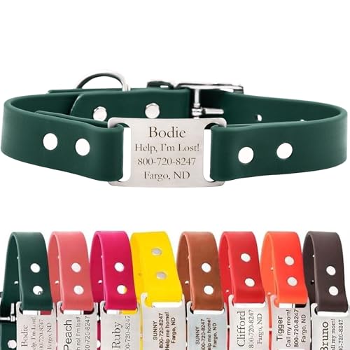dogIDs Personalized Dog Collar – ScruffTag Custom Waterproof Biothane Dog Collar with Laser-Engraved Name, Durable & Odor-Resistant – USA Made | Hunter Green, 1 in x 16 in (Fits Neck Sizes 14-18 in) - color: Hunter Green, size: 1 in x 16 in (Fits Neck Siz
