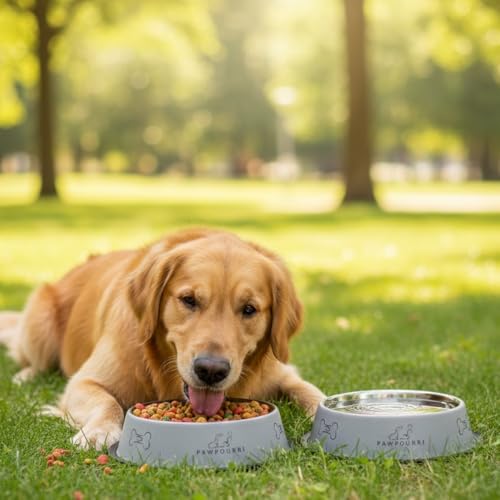 Stainless Steel Dog Bowl Pack of 2, Food & Water Bowl for Dogs, Durable Dog Feeding Bowl, Bowls for Small Dogs, Easy to Clean, Anti-Skid Pet Bowl - 16 oz (Grey) - color: Grey