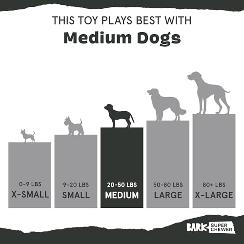 Barkbox Pork Chomp Dog Toy for Durable Tough Nylon Construction with a Gnaw-Friendly Texture, Perfect for Long-Lasting Chewing Fun - Medium - style: Pork Chomp