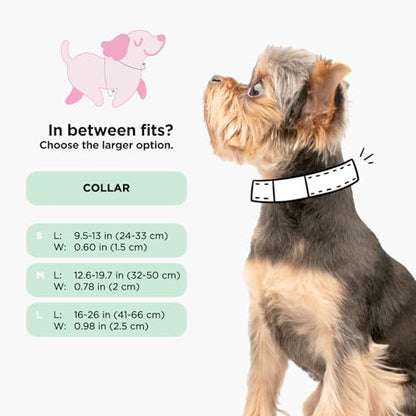 Sassy Woof Dog Collar Star Wars™ The Dark Side - L, Adjustable, Durable, Comfortable and Stylish Pet Accessories for Small Dogs - size: Large, style: Collar
