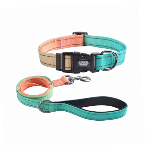 Dog Collar Leash Set, Gradient Color, with Safety Reflective Strips, 5 ft Matching Leash, Neoprene Padded Handle, Adjustable 4 Sizes for Small Medium Large Dogs.(XS, Green Orange) - color: Green Orange, size: Extra Small