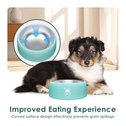 PAWGETHER® Stainless Steel Dog Bowls, Dog Food and Water Bowl Non-Slip Easy to Clean Dishwasher Safe for Puppy Small Medium Dogs Cats Mint Green 34oz - color: Mint Green (34oz)