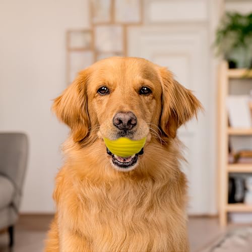 Playology Dog Toys | Dual Layer Ball Durable Chew Toy for Tough Chewers | Chicken Scented Jumbo Dog Toy | Chew Toys for Large Dogs - size: Jumbo, style: Chicken