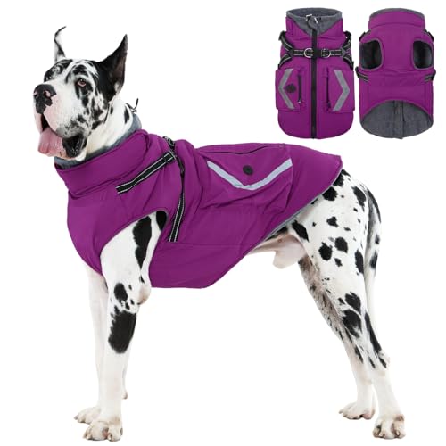 FUAMEY Reflective Dog Winter Coat, Fleece Lined Jacket for Large Dogs Back Zipper, Turtleneck Cozy Doggy Vest Thermal Clothes with Harness, Cold Weather Snow Outfits, Great Dane (Violet, 3XL) - color: Bright Violet, size: XXX-Large