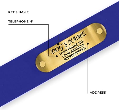 Regal Dog Products Small Blue Waterproof Dog Collars with Custom Engraved Name Plate | Vinyl Coated, Anti, Easy to Clean Personalized Biothane Dog Collar - Other Sizes for Medium & Large Dogs - color: Blue, size: Small Collar