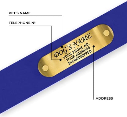 Regal Dog Products Medium Blue Waterproof Dog Collars with Custom Engraved Name Plate | Vinyl Coated, Anti, Easy to Clean Personalized Biothane Dog Collar - Other Sizes for Small & Large Dogs - color: Blue, size: Medium Collar