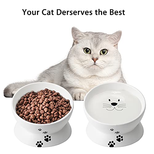 Cat Food Bowls, 10 OZ Elevated Cat Bowls for Cats and Small Dogs, Tilted Pet Feeder Bowl with Raised Stand Protect Cat's Spine, Ceramic Cat Water Bowl No-Spill, Stress Free Cat Dish 2pcs - color: White*2