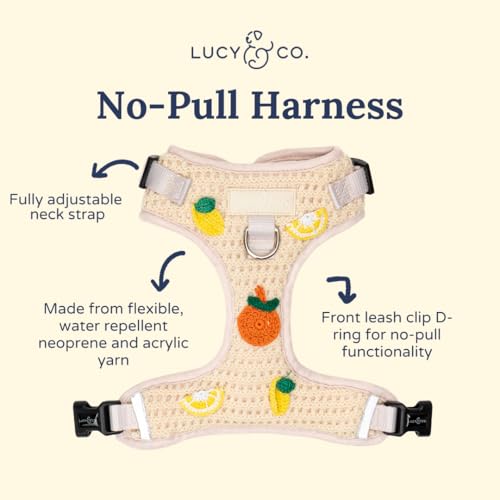 Lucy & Co. Main Squeeze Crochet No-Pull Dog Harness, Adjustable Front Clip Harness with Comfort Padding, Small - color: Main Squeeze, size: Small