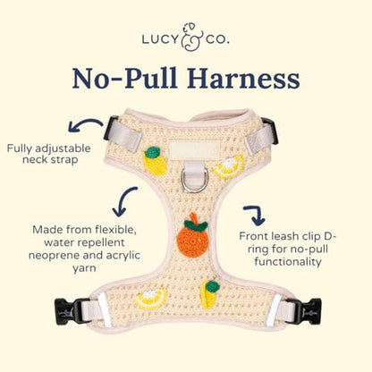 Lucy & Co. Main Squeeze Crochet No-Pull Dog Harness, Adjustable Front Clip Harness with Comfort Padding, Small - color: Main Squeeze, size: Small