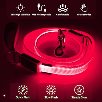 LED Dog Leash Light Up 6 Feet Micro USB Rechargeable Nylon Webbing Glow Safety Standard for Dogs by Bpawser (Pink) - color: Pink, size: 6 Feet