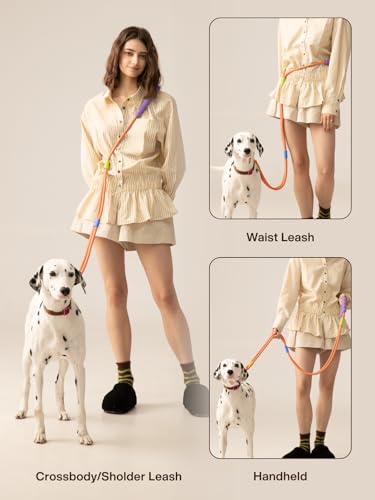 Hands Free Dog Leash, 5-in-1 Adjustable Waist Training Leash for Walking& Hiking – Dual Lead Rope with Padded Handle,MGBR Rotating Metal Clip - color: Classic-Orange-5Ft