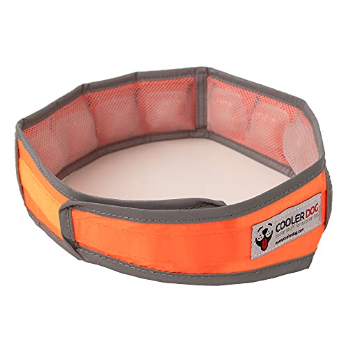 CoolerDog Hi-Vis Cooling Dog Collar for X-Large Dogs – Reflective Re-Freezable Ice Collar for Hot Weather & Heat Relief (Orange, X-Large) - size: X-Large