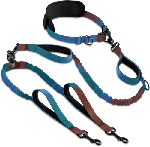 SparklyPets - Hands Free Dual Dog Leash for Medium and Large Male Dogs - Padded Handles, Reflective Stitches, No Pull, Tangle Free - Walking, Hiking, Jogging, Canicross Waist Leash - Gradient Blue - color: Gradient Blue, size: 2 dogs M/L