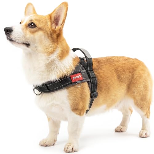 No Pull Dog Harness with Handle, French Bulldog Adjustable Reflective Dog Vest, Breathable Air Mesh Padded Pet Harness with Front Leash Clip for Small Medium Dogs, Black, L - color: Black, size: Large