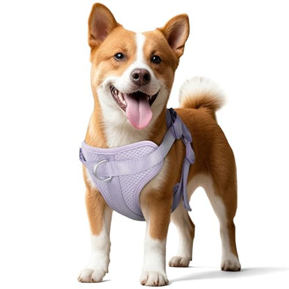 Dog Harness Medium Sized, Pet Vest with Front Clip, Adjustable Puppy Harness with 3 Fast Release Buckles[Easy to Put on & Take Off] (Lilac, XS) - color: Lilac, size: XS: Neck=10"-14"/Chest=11"-19"