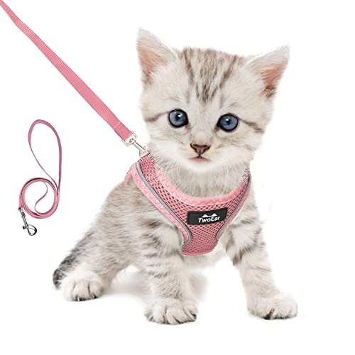 TwoEar Cat Harness and Leash, Soft Dog Vest Harness Adjustable, Breathable Mesh Step-in Puppy Walking Jacket Reflective Easy Control for Extral Small Pets for Outdoor Walking (XXXS, Pink) - color: Pink, size: XXXS(Neck:10.2-11.4"/Chest:11.4-12.6")