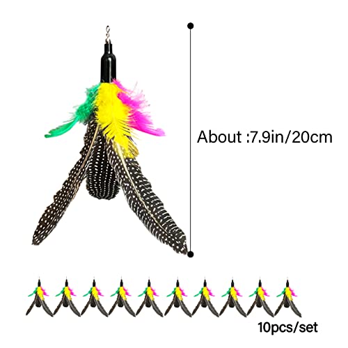 AcceLeah Cat Toy Replacement Feathers Cat Toy Wand Refills, Natural Bird Feathers Refill, Cat Feather Toy Replacement for Cat Wand (10Pcs (Taupe)) - color: 10Pcs (Taupe)