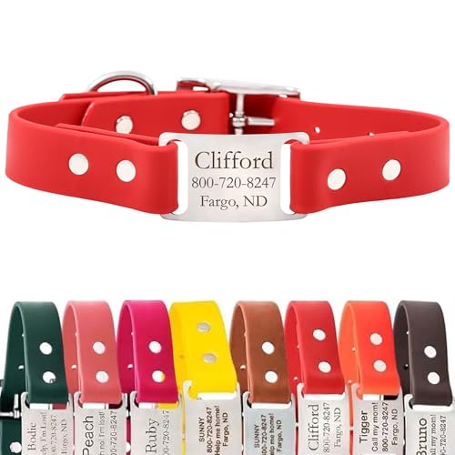 dogIDs Personalized Dog Collar – ScruffTag Custom Waterproof Biothane Dog Collar with Laser-Engraved Name, Durable & Odor-Resistant – USA Made | Red, 1 in x 16 in (Fits Neck Sizes 14-18 in) - color: Red, size: 1 in x 16 in (Fits Neck Sizes 14-18 in)